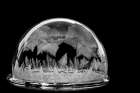 USA, Indiana, Carmel. Frozen soap bubbles on wine glass base. Art Print